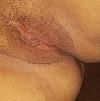 foto do perfil liz69bi